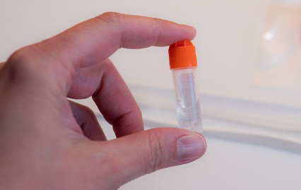 Imagen: El enfoque perfila las bacterias en la saliva y aplica algoritmos de aprendizaje automático para distinguir a los pacientes con CCEE de los controles no afectados (crédito de la imagen: Adobe Stock)