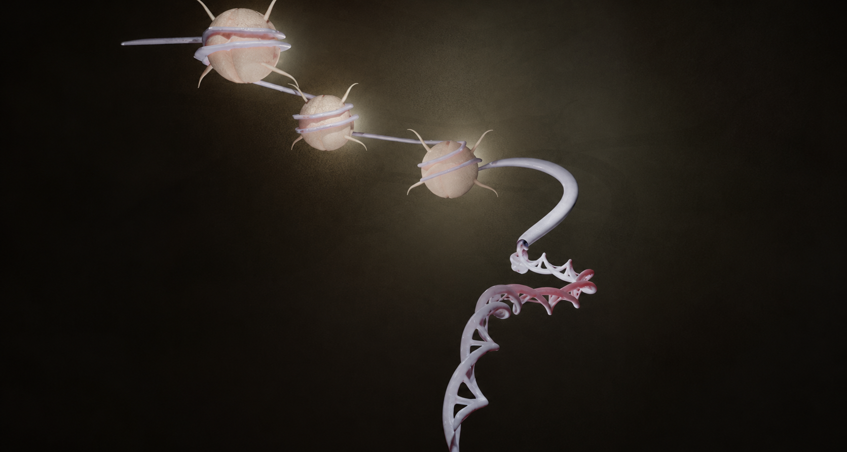 Imagen: el ensayo basado en sangre captura la cromatina circulante, fragmentos de ADN libres de células que son en gran medida inaccesibles a través de métodos de laboratorio estándar (crédito de la imagen: Shuttertstock)