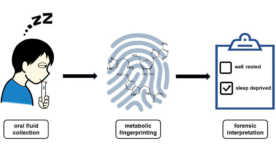 Imagen: Resumen gráfico  (Michael Scholz et al., Journal of Proteome Research, 2026. DOI: 10.1021/acs.jproteome.5c01064)