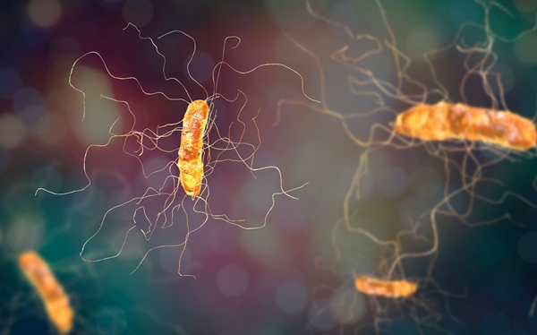 Imagen: El medio de cultivo modificado acelera la detección de la resistencia a la fidaxomicina al tiempo que reduce las demandas de material y mano de obra (crédito de la imagen: Adobe Stock)