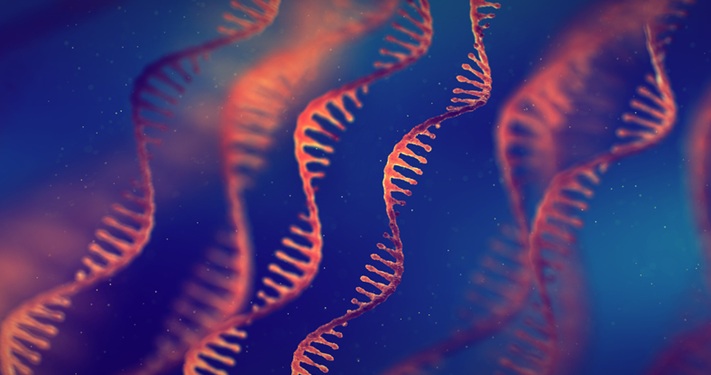 Imagen: El estudio muestra cómo el análisis de ARN dirigido con el flujo de trabajo ExomeReveal de Ambry puede resolver hallazgos inciertos y mejorar la claridad del diagnóstico (Crédito de la imagen: iStock)