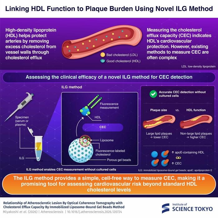 Imagen: Los investigadores utilizan un nuevo método de perlas de gel unidas a liposomas inmovilizados para medir los niveles de CEC y su asociación con los riesgos cardiovasculares (Fotografía cortesía del Instituto de Ciencias de Tokio)