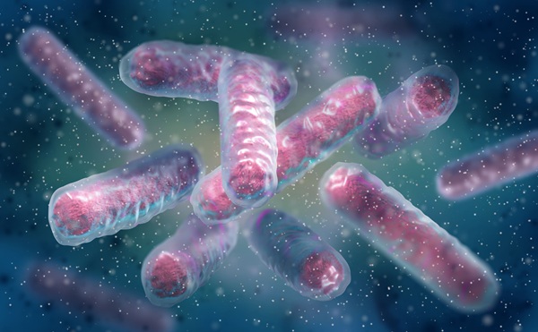 Imagen: El estudio compara el diagnóstico rápido de CPE molecular, que puede arrojar resultados en aproximadamente una hora, con la detección basada en cultivos, que normalmente demora aproximadamente 48 horas (Crédito de la imagen: Adobe Stock)