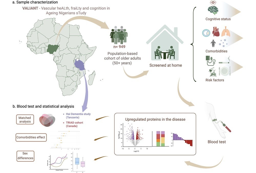 Imagen: Resumen gráfico (Pola, I., Akinyemi, T., Tan, K. et al. Nature Communications (2026). https://doi.org/10.1038/s41467-026-74971-4)