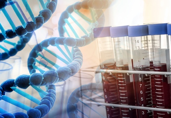 Imagen: La incorporación de la puntuación en las pruebas de rutina podría ayudar a los laboratorios genéticos a diagnosticar la diabetes tipo 1 en pacientes con resultados MODY negativos inexplicables (Crédito de la imagen: Adobe Stock)