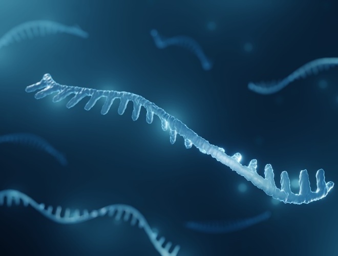 Imagen: Un conjunto de 31 pequeños marcadores de ARN (pequeños ARN no codificantes) podría ayudar a identificar a las personas con mayor riesgo de cáncer de pulmón antes de que la enfermedad se detecte clínicamente (Crédito de la imagen: 123RF)