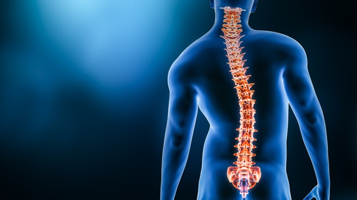 Crédito de la imagen: iStock