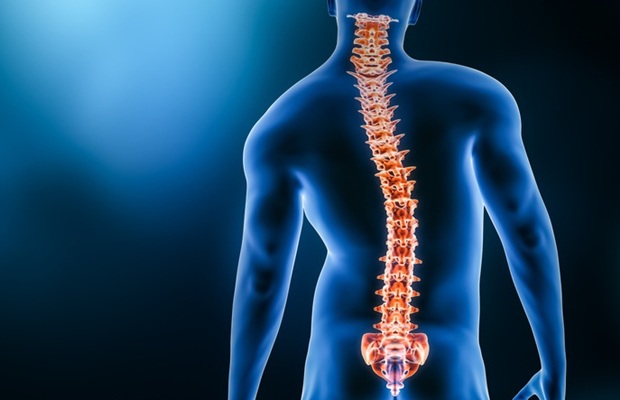 Crédito de la imagen: iStock
