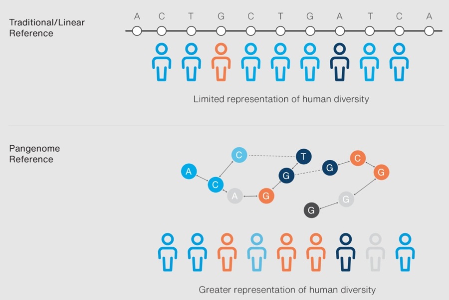 Imagen: GenomeNext utiliza una referencia pangenoma para representar mejor la diversidad genética humana y mejorar la detección de variantes, mientras que GenomeReveal integra análisis de ARN para ayudar a interpretar ciertos hallazgos de ADN (Fotografía cortesía de Ambry Genetics) Imagen: GenomeNext utiliza una referencia pangenoma para representar mejor la diversidad genética humana y mejorar la detección de variantes, mientras que GenomeReveal integra análisis de ARN para ayudar a interpretar ciertos hallazgos de ADN (Fotografía cortesía de Ambry Genetics)