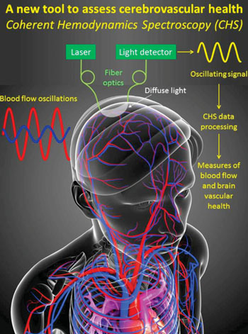 Imagen: Una tecnología diagnóstica óptica, nueva, promete formas de identificar y monitorizar el daño cerebral como resultado de las lesiones traumáticas, la apoplejía o la demencia vascular, en tiempo real y sin necesidad de procedimientos invasivos (Fotografía cortesía de la Universidad de Tufts).