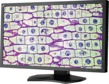 Imagen: El monitor para visualización MD322C8 (Fotografía cortesía de NEC Display Solutions).