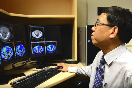 Imagen: El Dr. Ting-Yim Lee demuestra la tecnología de TC de perfusión (Fotografía cortesía de la Universidad Western).