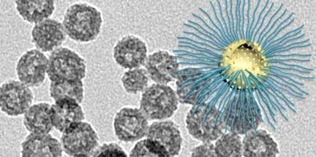 Imagen: La nueva nanopartícula mejora la destrucción por RT de las células cancerosas en el núcleo del tumor con bajo contenido de oxígeno (Fotografía cortesía de Wenpei Fan, Laboratorio LOMIN, NIBIB).