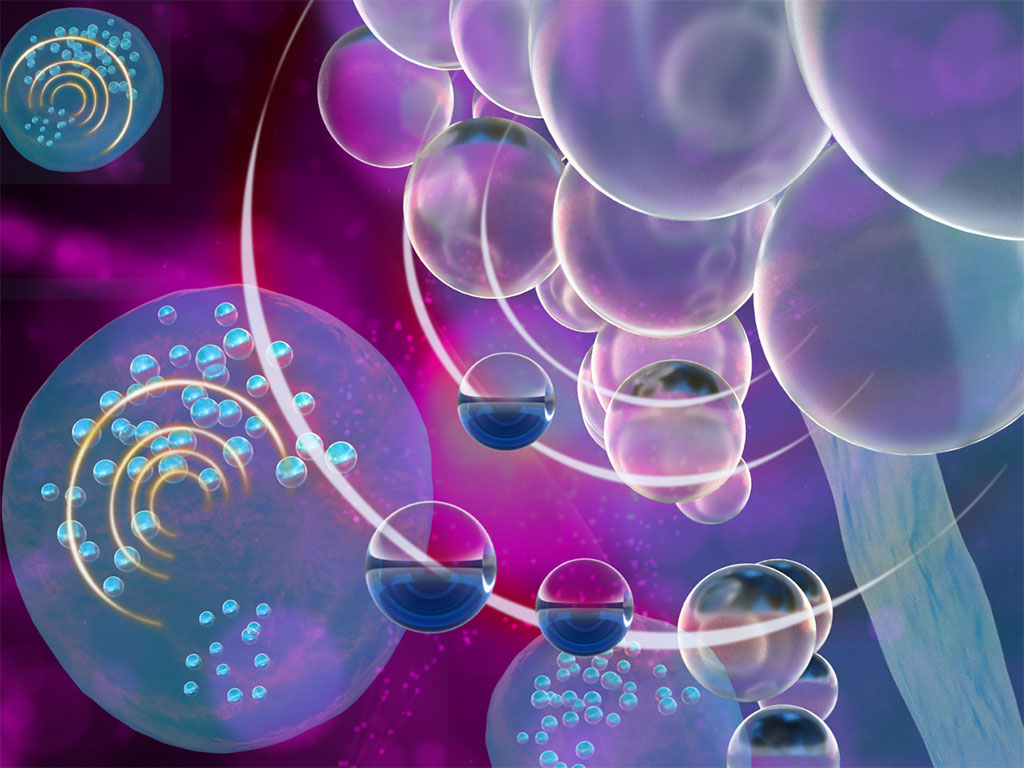 Imagen: Las burbujas de tamaño nano permiten que los macrófagos se destaquen de sus células compañeras en imágenes de ultrasonido (Fotografía cortesía de Penn State)
