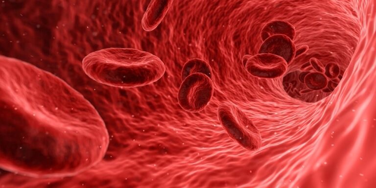 Imagen: Una nueva investigación revela que el ultrasonido de baja frecuencia influye en los parámetros sanguíneos (Fotografía cortesía de KUT)