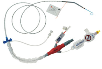 The Impella 2.5 System