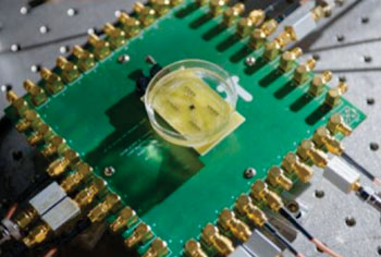 Image: A single-chip catheter-based device that would provide forward-looking, real-time, three-dimensional imaging from inside the heart, coronary arteries, and peripheral blood vessels is shown being tested (Photo courtesy of the Georgia Institute of Technology). Image: A single-chip catheter-based device that would provide forward-looking, real-time, three-dimensional imaging from inside the heart, coronary arteries, and peripheral blood vessels is shown being tested (Photo courtesy of the Georgia Institute of Technology).