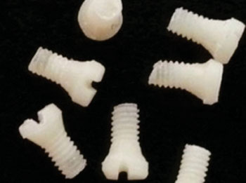 Image: Surgical screws derived from silkworm silk protein (Photo courtesy of Tufts University).