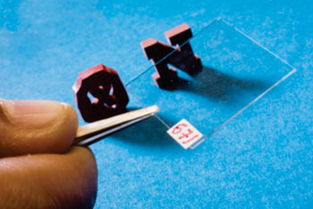 Image: The nanotechnology thin-film sensor strip (Photo courtesy of Craig Chandler/UNL).