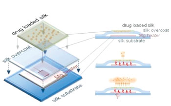 Image: Schematic model the dissolving silk and magnesium electronic implant (Photo courtesy of Tufts University).