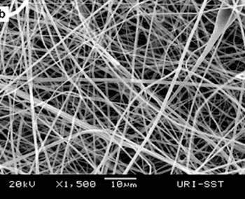 Image: Microstructure of electrospun polyester (Photo courtesy of NuVascular Technologies).
