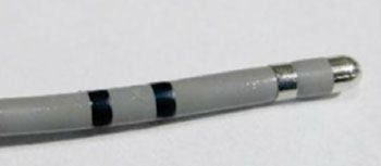 Image: An Amplicoat-coated electrode (Photo courtesy of Biotectix).