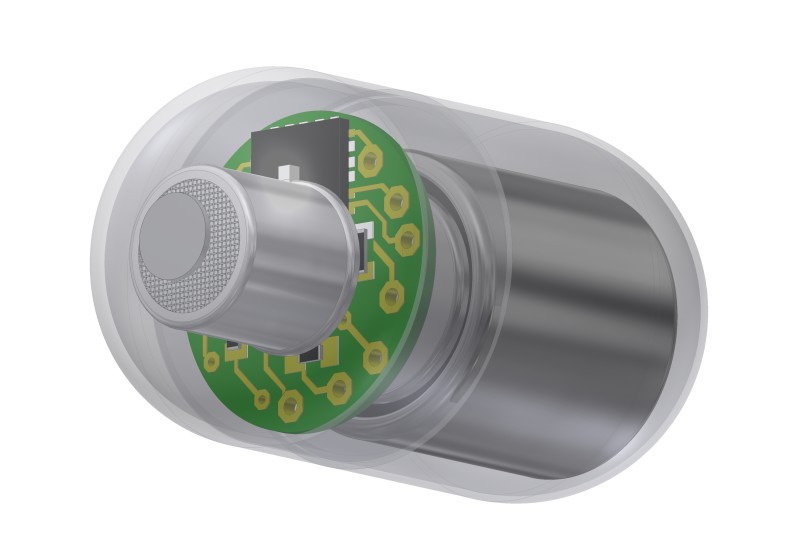 Image: Illustration of the swallowable gas sensing capsule (Photo courtesy of Nam Ha/ RMIT).