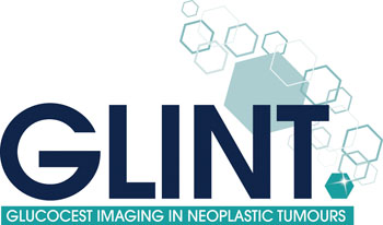 Image: The EU-funded Horizon 2020 GlucoCEST Imaging in Neoplastic Tumours Project (Photo courtesy of GLINT 2016). Image: The EU-funded Horizon 2020 GlucoCEST Imaging in Neoplastic Tumours Project (Photo courtesy of GLINT 2016).