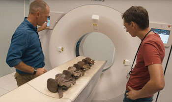 Image: The researchers scanning the fossilized tail of a T. rex Trix dinosaur (Photo courtesy of Royal Philips).