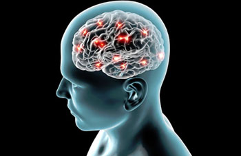 Image: Brain imaging could be used to help predict a patients’ response to psychotherapy (Photo courtesy of Naeblys/fotolia). Image: Brain imaging could be used to help predict a patients’ response to psychotherapy (Photo courtesy of Naeblys/fotolia).