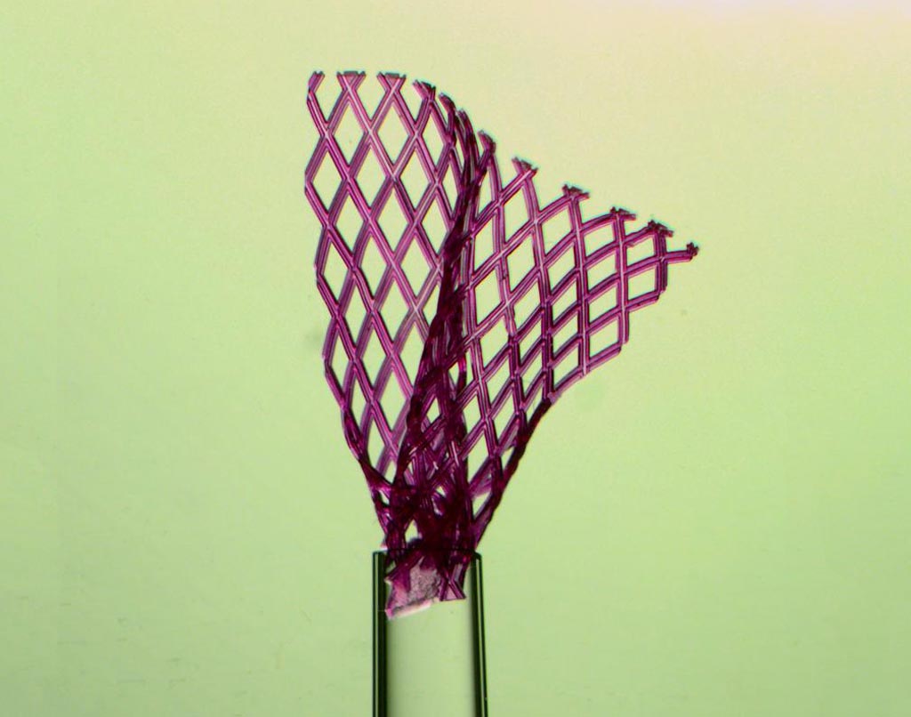 Image: The flexible tissue scaffold unfolds from a glass pipette with a tip one millimeter wide (Photo courtesy of Miles Montgomery).