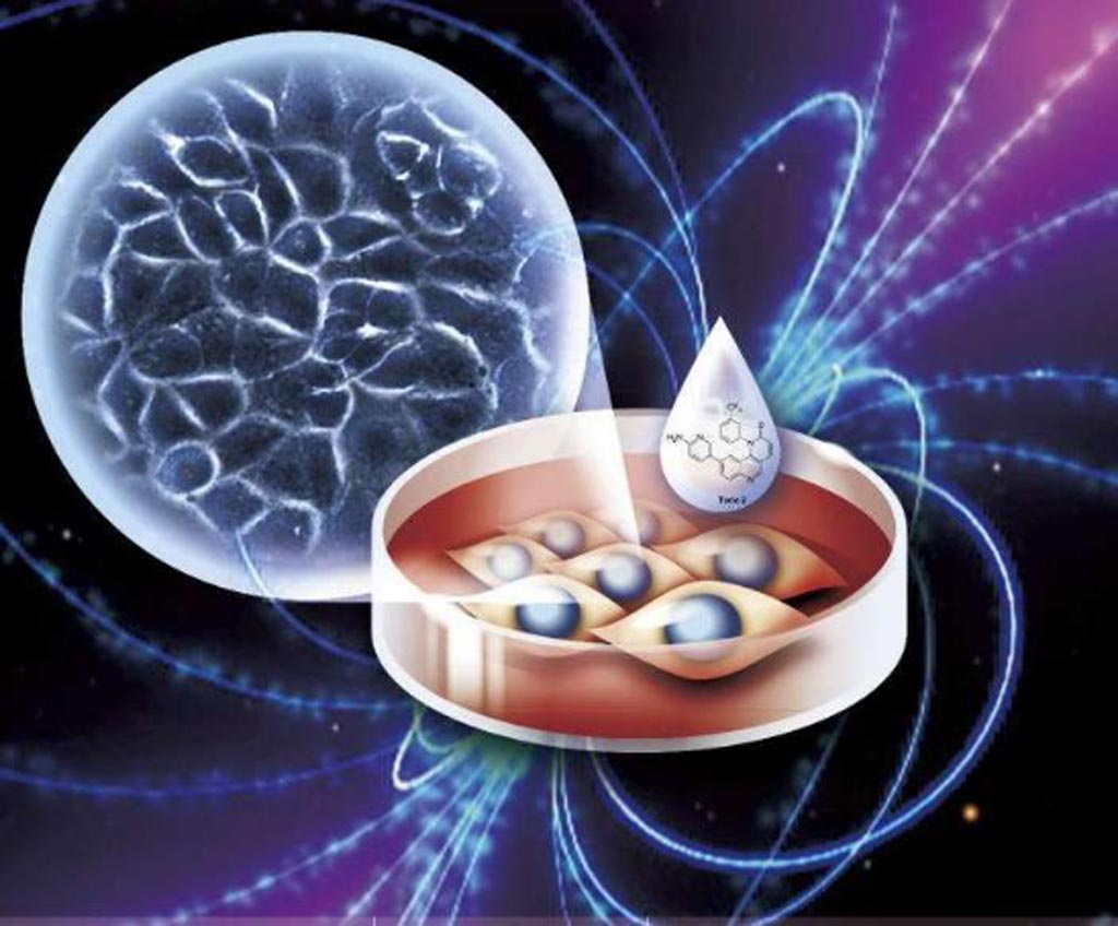 Image: A new study claims static magnetic fields can increase stem cell osteogenic potential (Photo courtesy of the Chinese Academy of Medical Sciences).