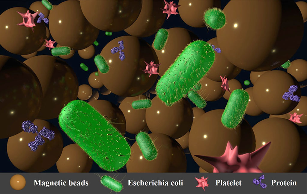 Image: 3D nanodevice detects harmful bacteria in blood (Photo courtesy of RIT)