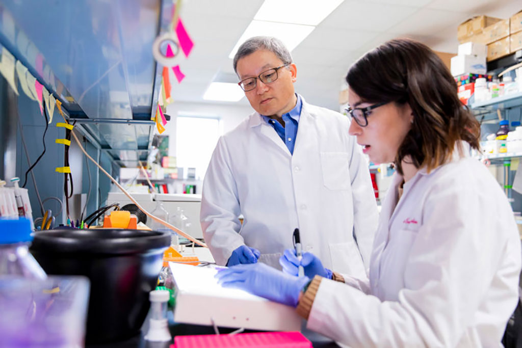 Image: Professor Biao He works with Ph.D. student Maria Huertas-Diaz in his lab at the College of Veterinary Medicine (Photo courtesy of Andrew Davis Tucker/UGA)