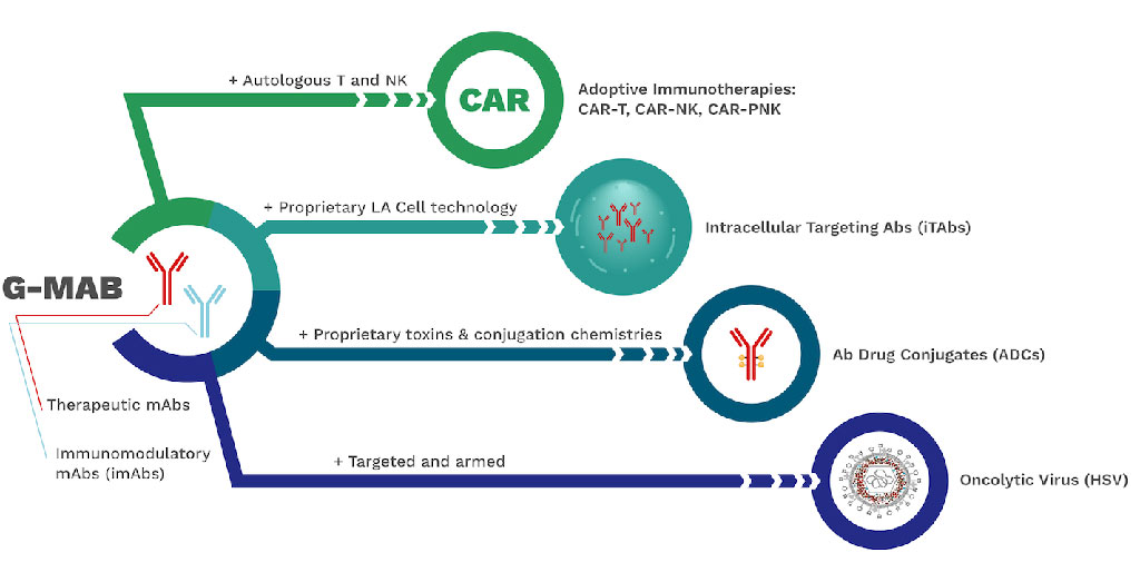 Image: Sorrento’s G-MAB technology (Photo courtesy of Sorrento Therapeutics, Inc.)