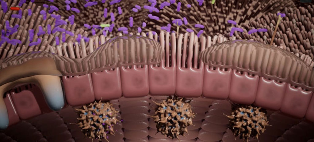 Image: Monoclonal Microbials Mechanism of Action (Photo courtesy of Evelo Biosciences, Inc.)