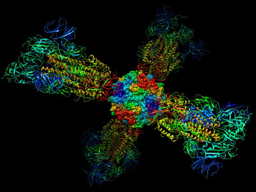 Image: An atomic model of one of the NSP Covid-19 Nanoparticle vaccine candidates displaying the SARS CoV-2 spike protein (Photo courtesy of Predictive Oncology)