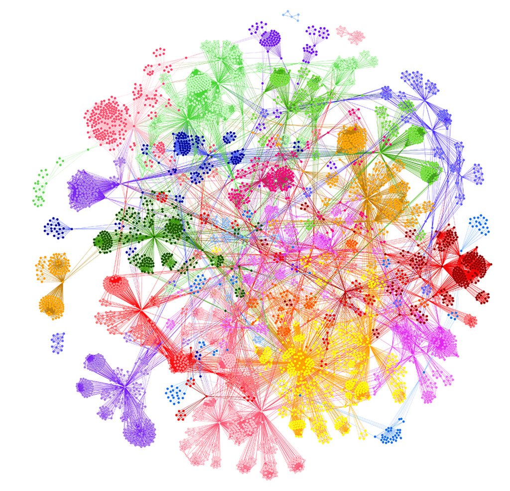 Image: Disease architecture of the severe COVID-19 patient population generated by the PrecisionLife platform. Each circle represents a disease-associated SNP genotype, edges represent co-association in patients, and colours represent distinct patient sub-populations (Photo courtesy of PrecisionLife Ltd.)