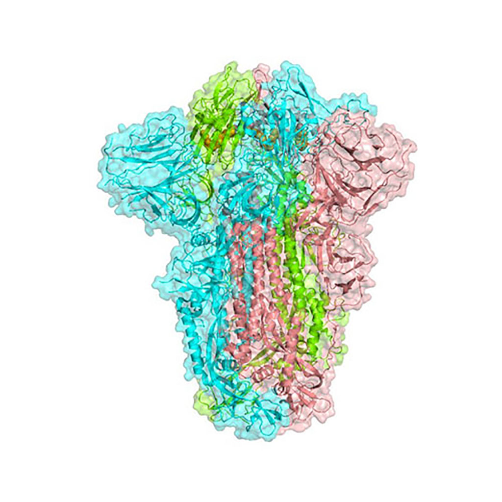 Image: 3D structure image of SARS CoV-2 Spike protein (Photo courtesy of University of Bristol)