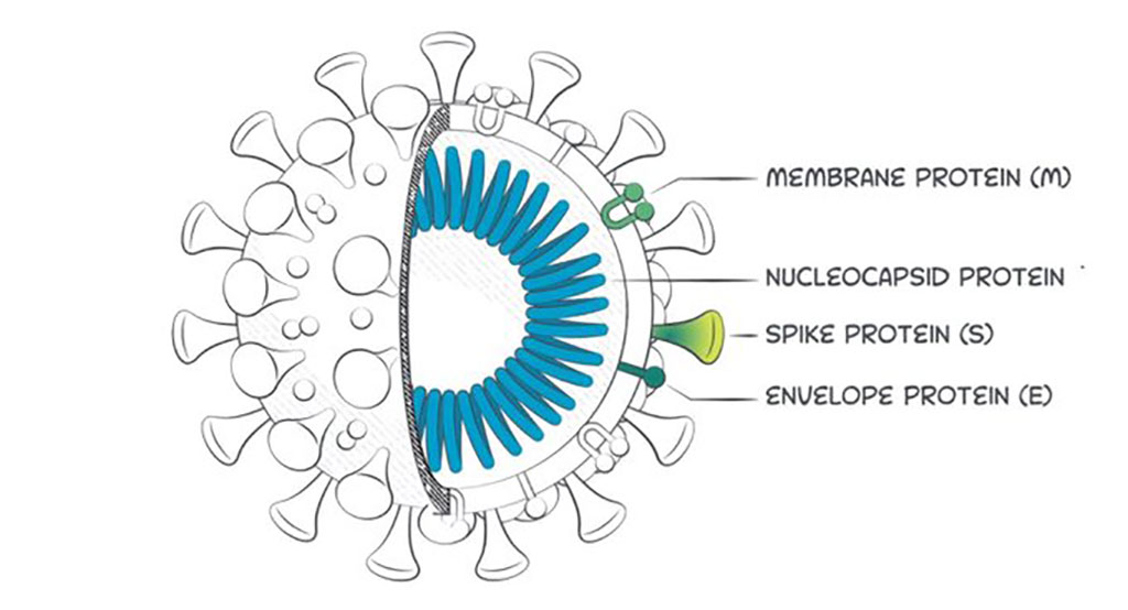 Image: Beckman Coulter SARS-CoV-2 IgM Antibody Test Receives FDA Emergency Use Authorization (Photo courtesy of Beckman Coulter)