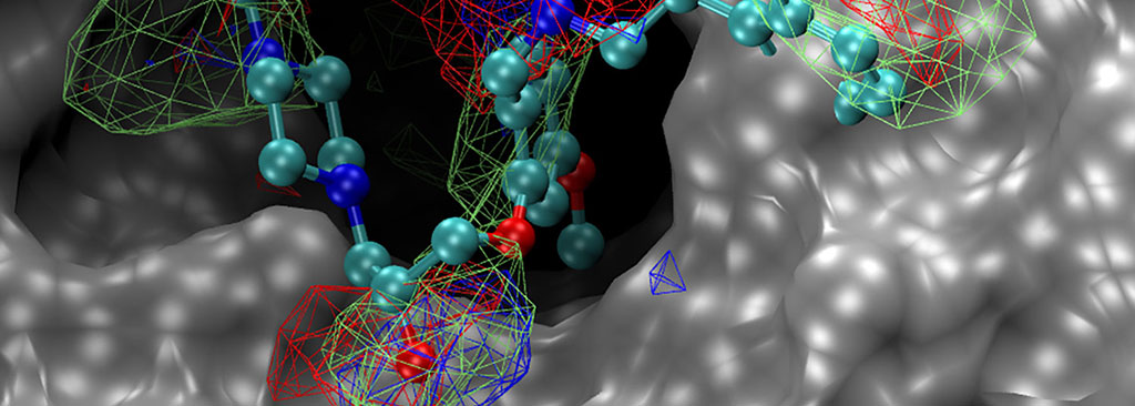 Image: The compound UMB18 (multi-color) binds to the 3D structure of SKI protein complex shown in silver (Photo courtesy of UMSOM)