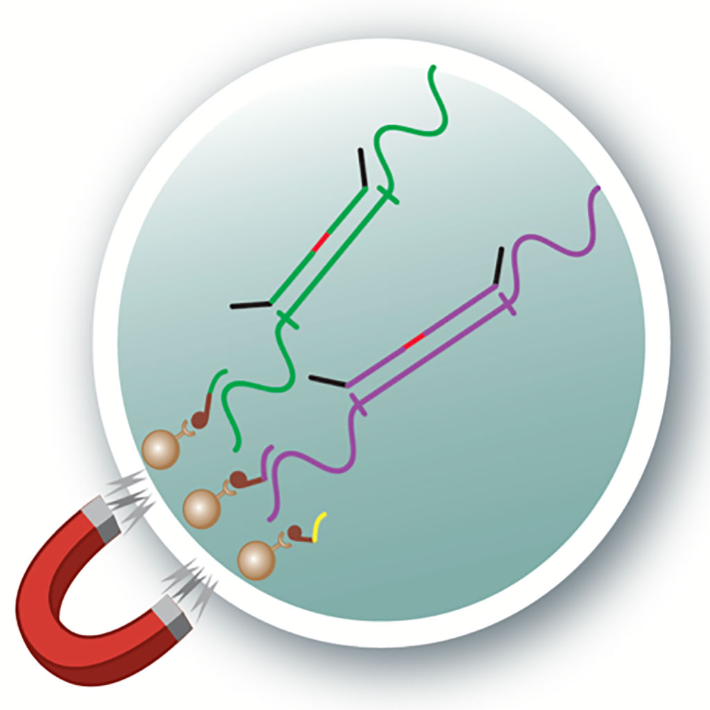 Image: Probes and magnetic beads capture RNA related to SARS-CoV-2 (Photo courtesy of Johns Hopkins Medicine)
