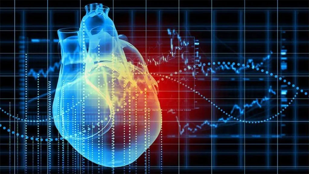 Image: AI can reveal a patient`s heart health (Photo courtesy of Mayo Clinic)