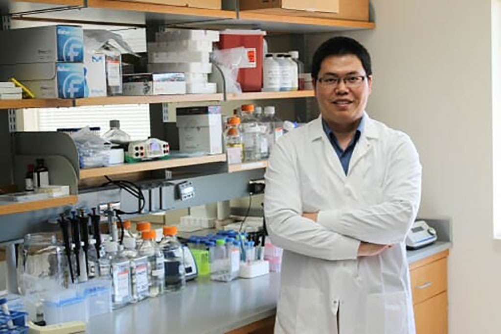 Image: Quanyin Hu’s lab has developed an injectable gel that offers promise for tough-to-treat brain tumors (Photo courtesy of University of Wisconsin–Madison)