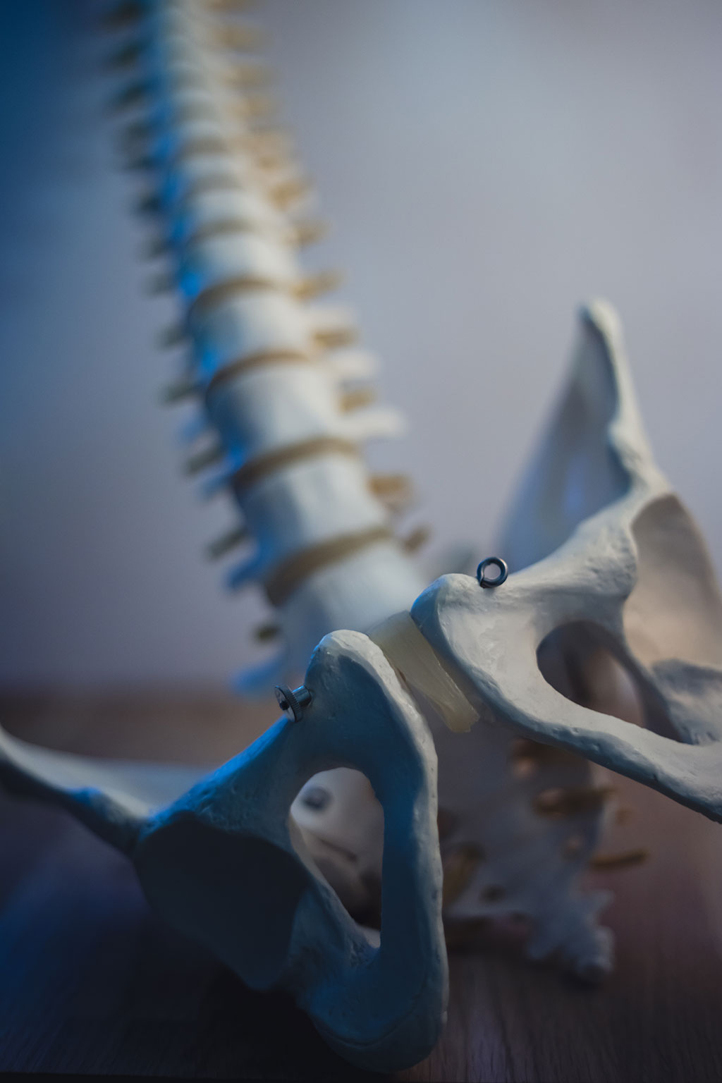 Image: Unique new material has shown significant promise in treatment of spinal cord injury (Photo courtesy of Unsplash)
