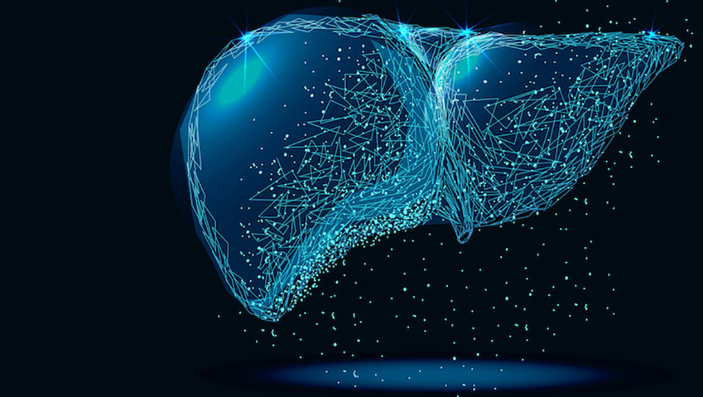 Image: New approaches to 3D MRE sequences could help measure liver fibrosis and inflammation simultaneously in obese patients (Photo courtesy of KCL) Image: New approaches to 3D MRE sequences could help measure liver fibrosis and inflammation simultaneously in obese patients (Photo courtesy of KCL)