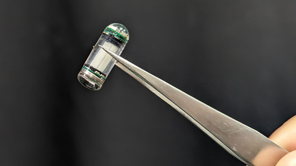 Image: The components of the dosimeter can fit into an 18mm by 7mm capsule (Photo courtesy of University of NUS) Image: The components of the dosimeter can fit into an 18mm by 7mm capsule (Photo courtesy of University of NUS)