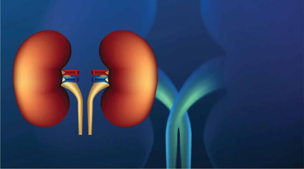 Image: Medication, sepsis and inadequate blood supply to the kidneys are potential causes of AKI (Photo courtesy of Freepik)