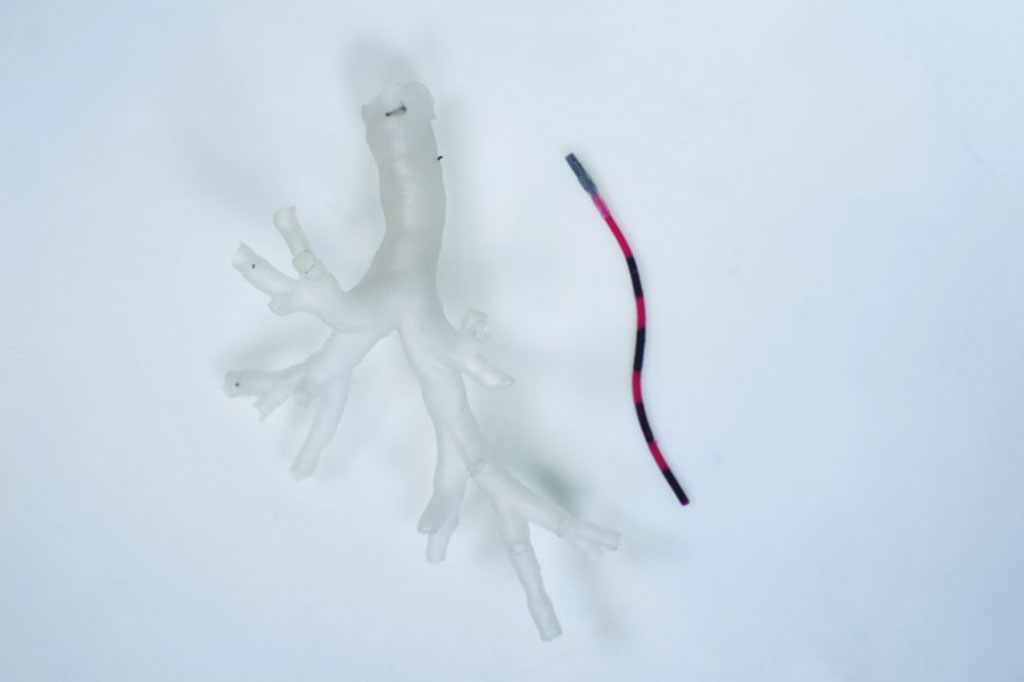 Image: Close-up of a magnetic tentacle robot next to a phantom bronchiole (Photo courtesy of University of Leeds)