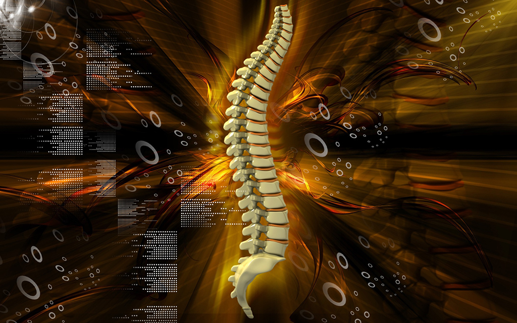 Image: The MRI-based algorithm can differentiate between different spinal pathologies (Photo courtesy of 123RF) Image: The MRI-based algorithm can differentiate between different spinal pathologies (Photo courtesy of 123RF)